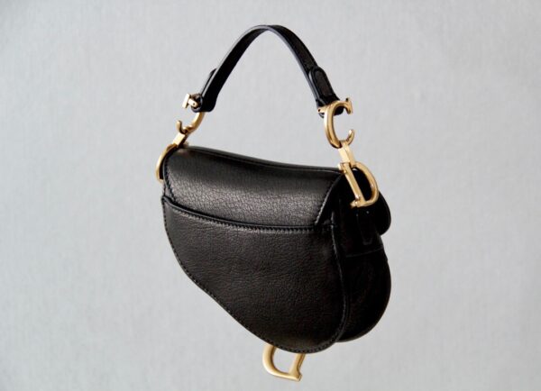 Dior Saddle Mini