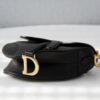 Dior Saddle Mini