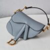 Dior Saddle Mini