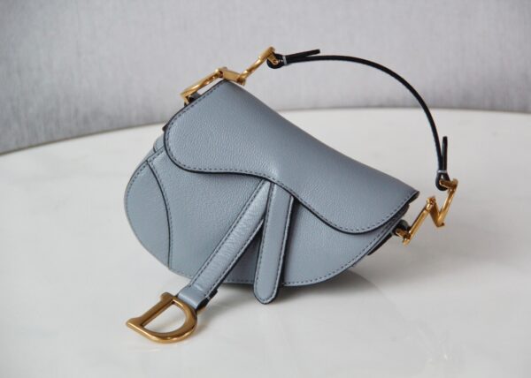 Dior Saddle Mini