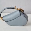 Dior Saddle Mini