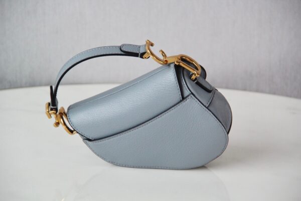 Dior Saddle Mini