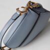 Dior Saddle Mini
