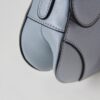 Dior Saddle Mini