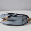 Dior Saddle Mini