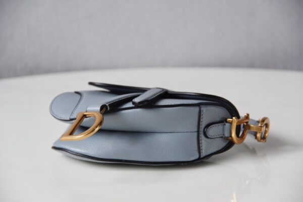 Dior Saddle Mini