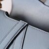 Dior Saddle Mini