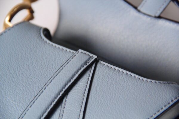 Dior Saddle Mini
