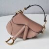 Dior Saddle Mini