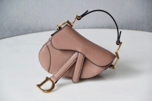 Dior Saddle Mini