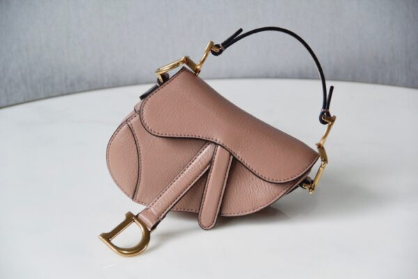 Dior Saddle Mini