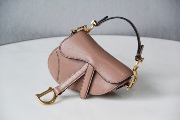 Dior Saddle Mini