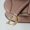 Dior Saddle Mini