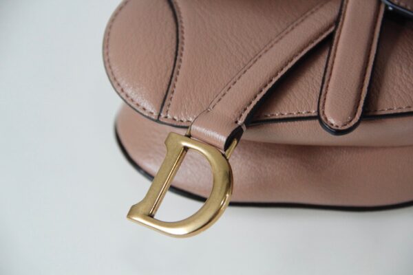 Dior Saddle Mini