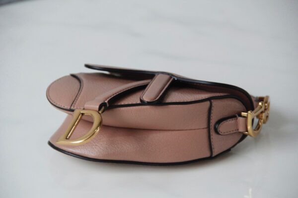 Dior Saddle Mini