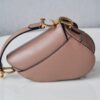 Dior Saddle Mini