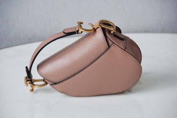 Dior Saddle Mini