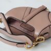 Dior Saddle Mini