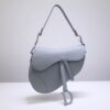 Dior Saddle