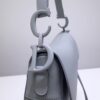Dior Saddle