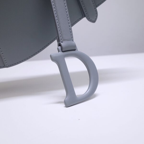 Dior Saddle
