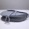 Dior Saddle