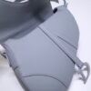 Dior Saddle