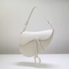 Dior Saddle