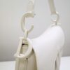 Dior Saddle