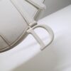 Dior Saddle