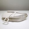Dior Saddle