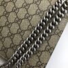 Gucci Dionysus