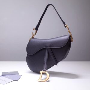 Dior Saddle