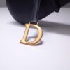 Dior Saddle