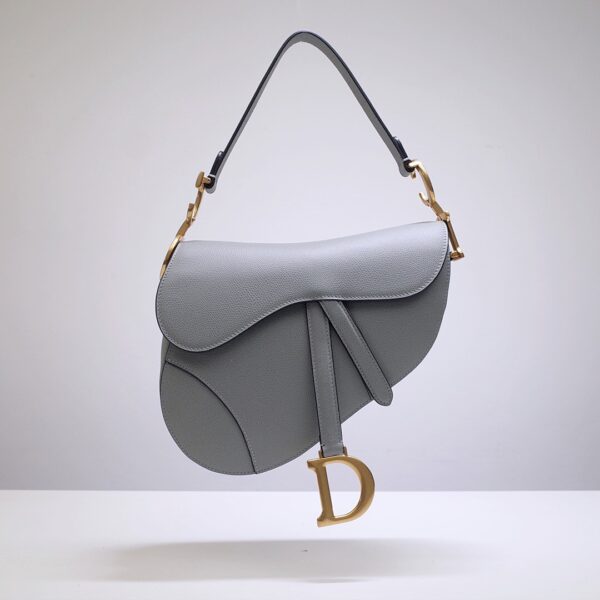 Dior Saddle