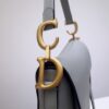 Dior Saddle