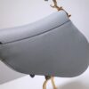 Dior Saddle