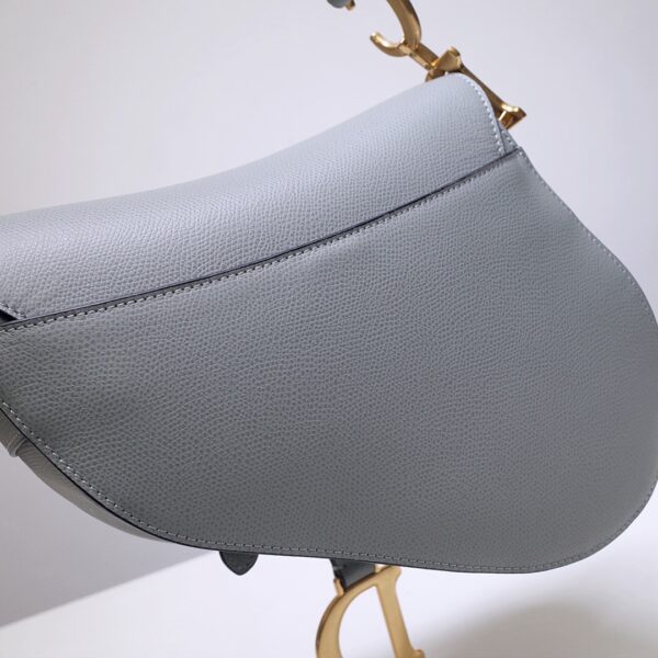 Dior Saddle