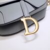 Dior Saddle