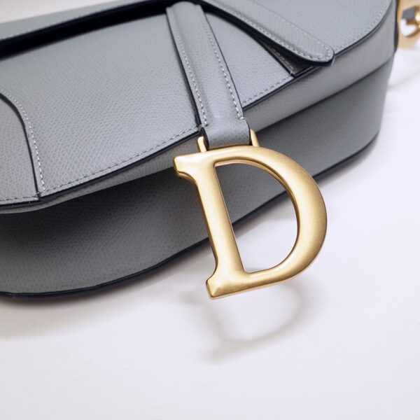 Dior Saddle
