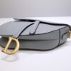Dior Saddle