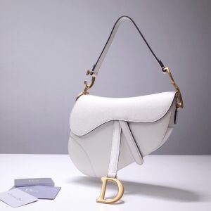 Dior Saddle