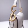 Dior Saddle