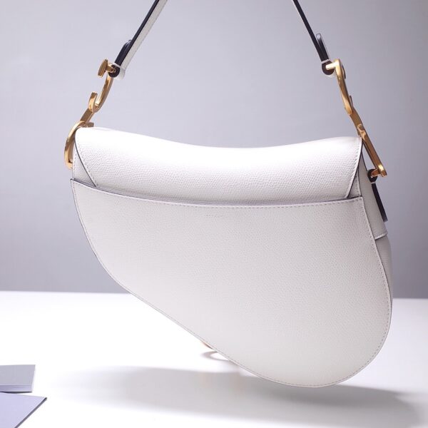 Dior Saddle