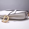 Dior Saddle