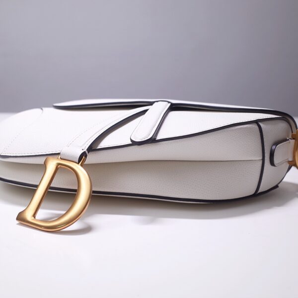 Dior Saddle