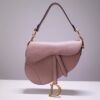 Dior Saddle