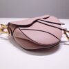 Dior Saddle