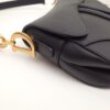 Dior Saddle