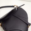 Dior Saddle